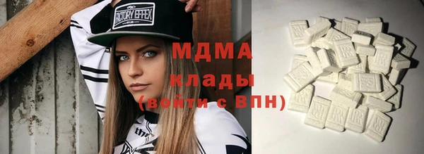 гашик Алексин