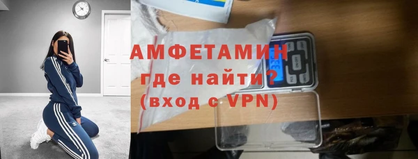 гашик Алексин