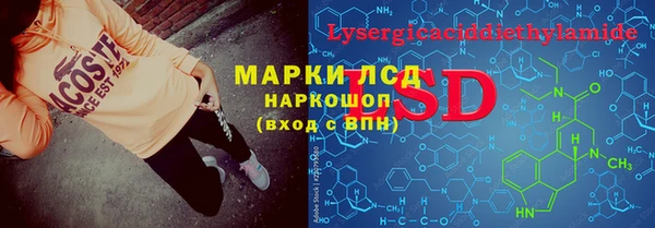 гашик Алексин