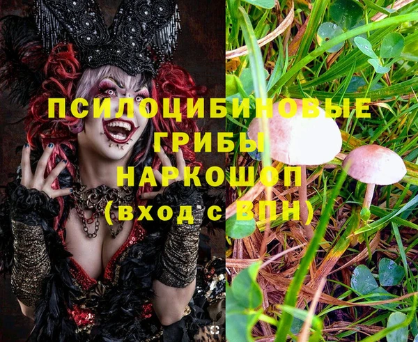 гашик Алексин