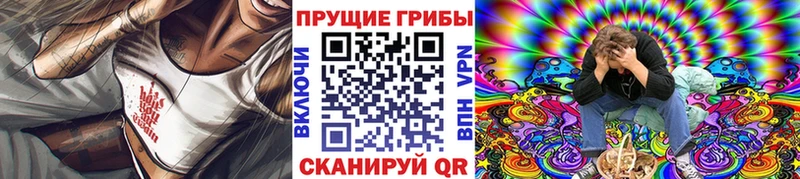 Галлюциногенные грибы мицелий Стародуб